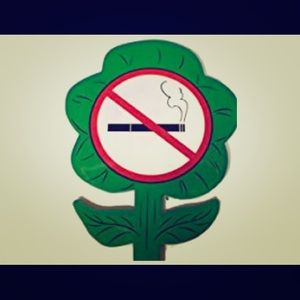 🌸🌸ALL ITEMS FROM A SMOKE FREE HOME!!!🌸🌸